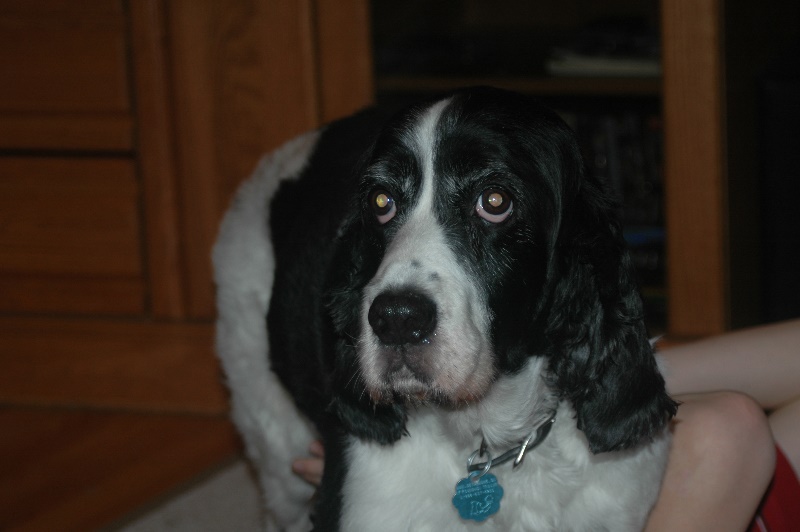 Denver november 2005 00172